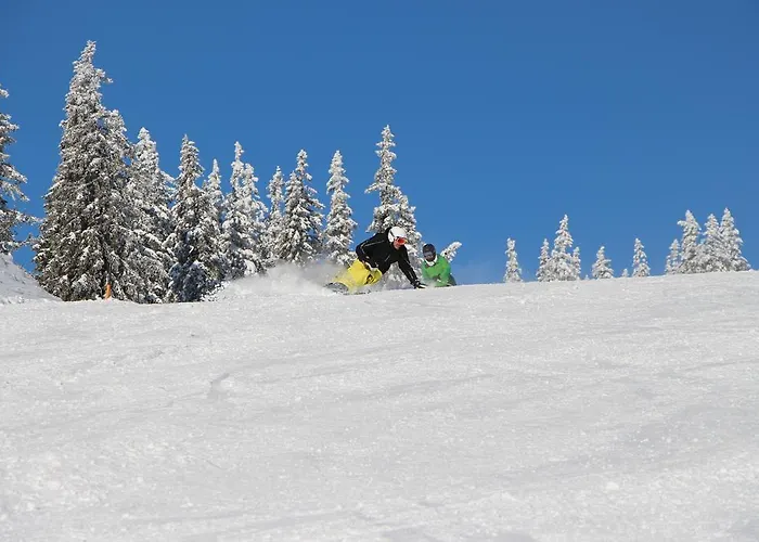 Holiday park Huettendorf Praebichl *